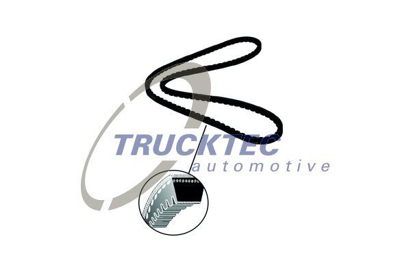 TRUCKTEC AUTOMOTIVE V formos diržas 01.19.186